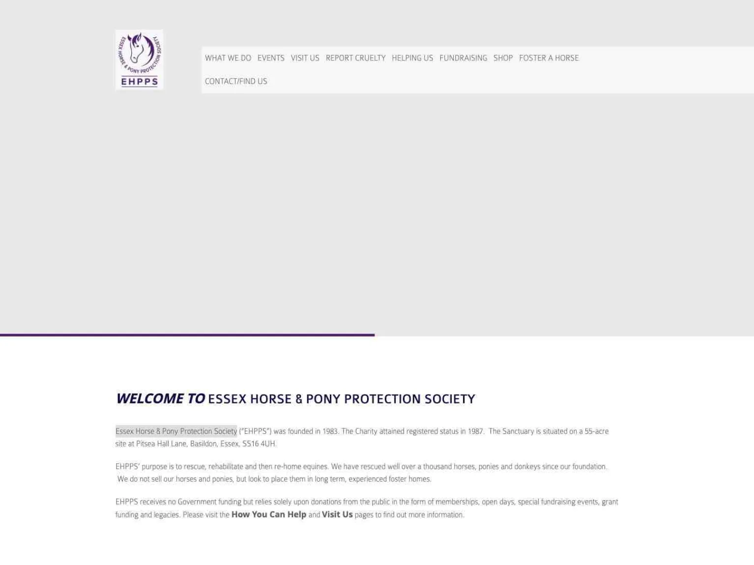Ehpps old website 1
