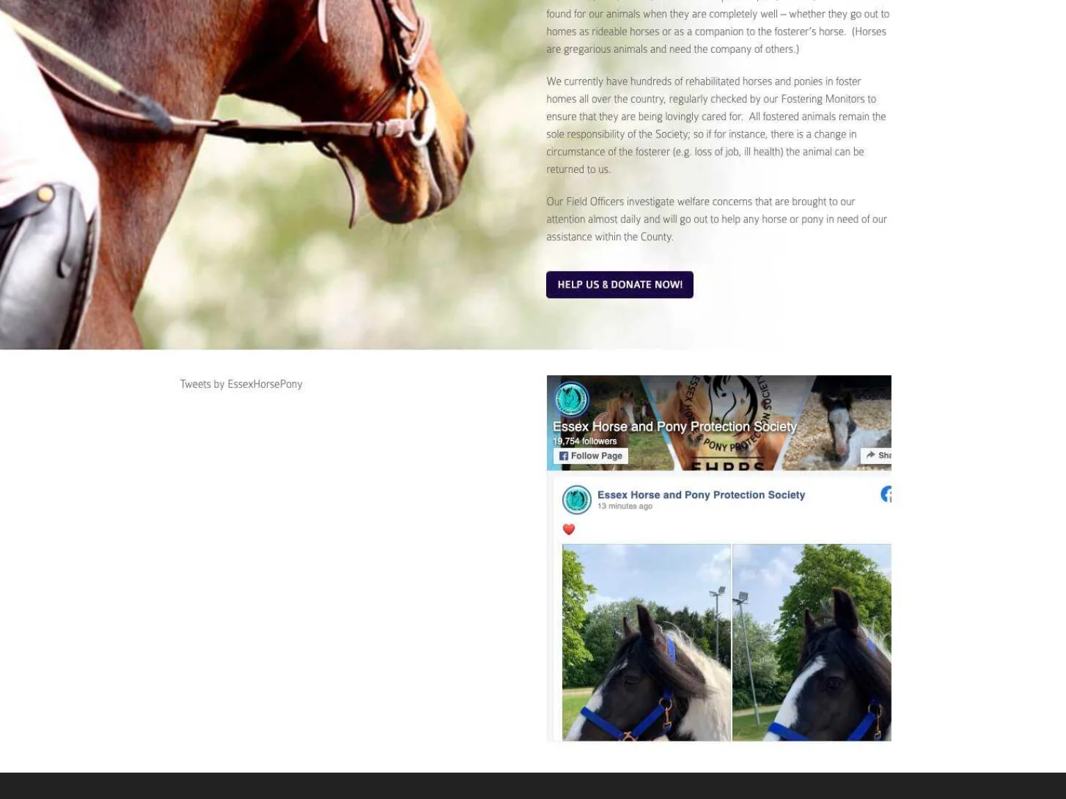 Ehpps old website 2