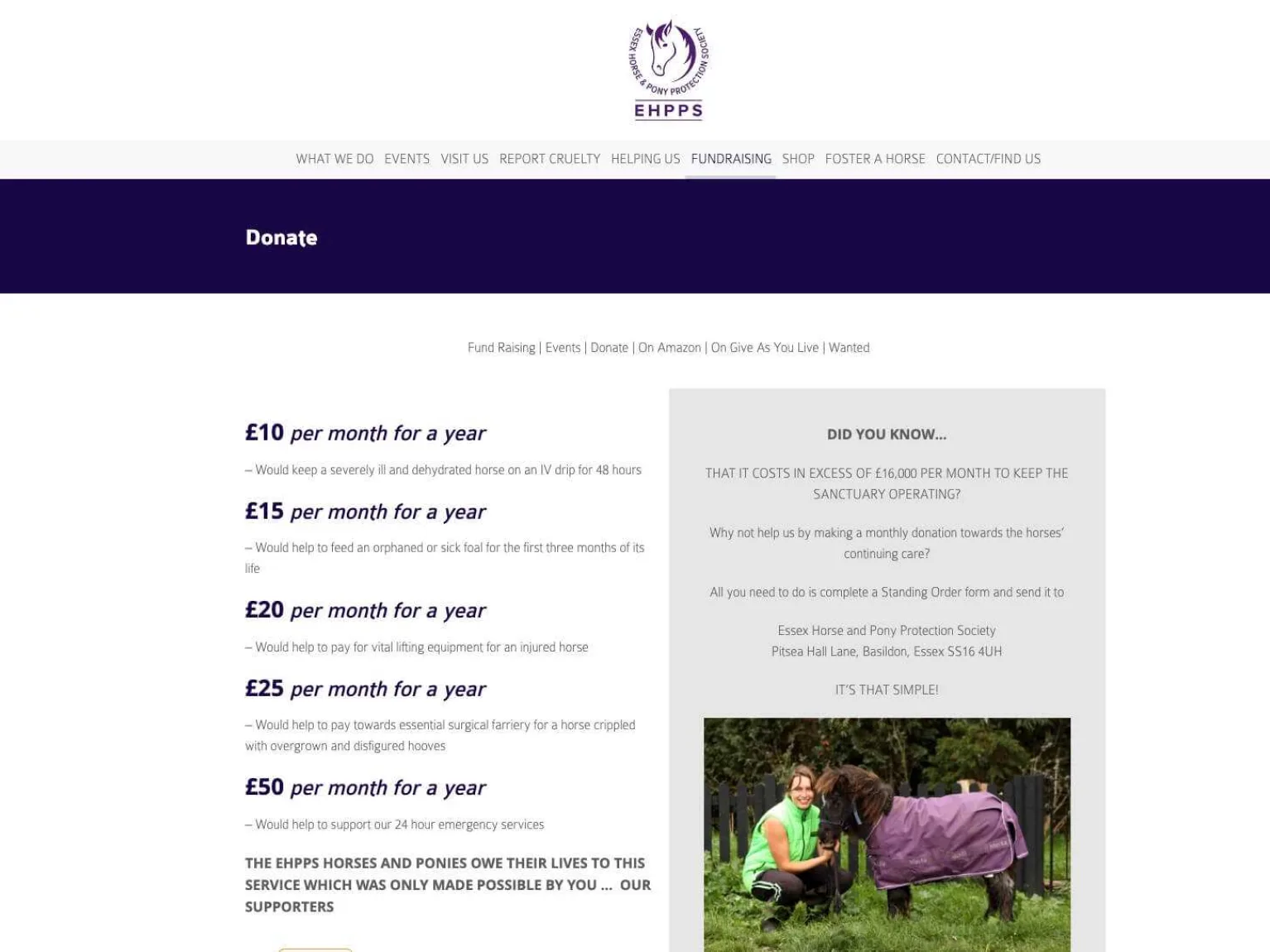 Ehpps old website 3