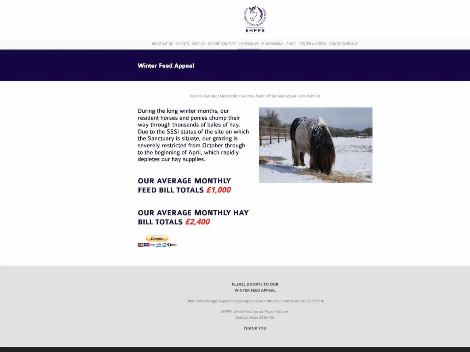Ehpps old website 5