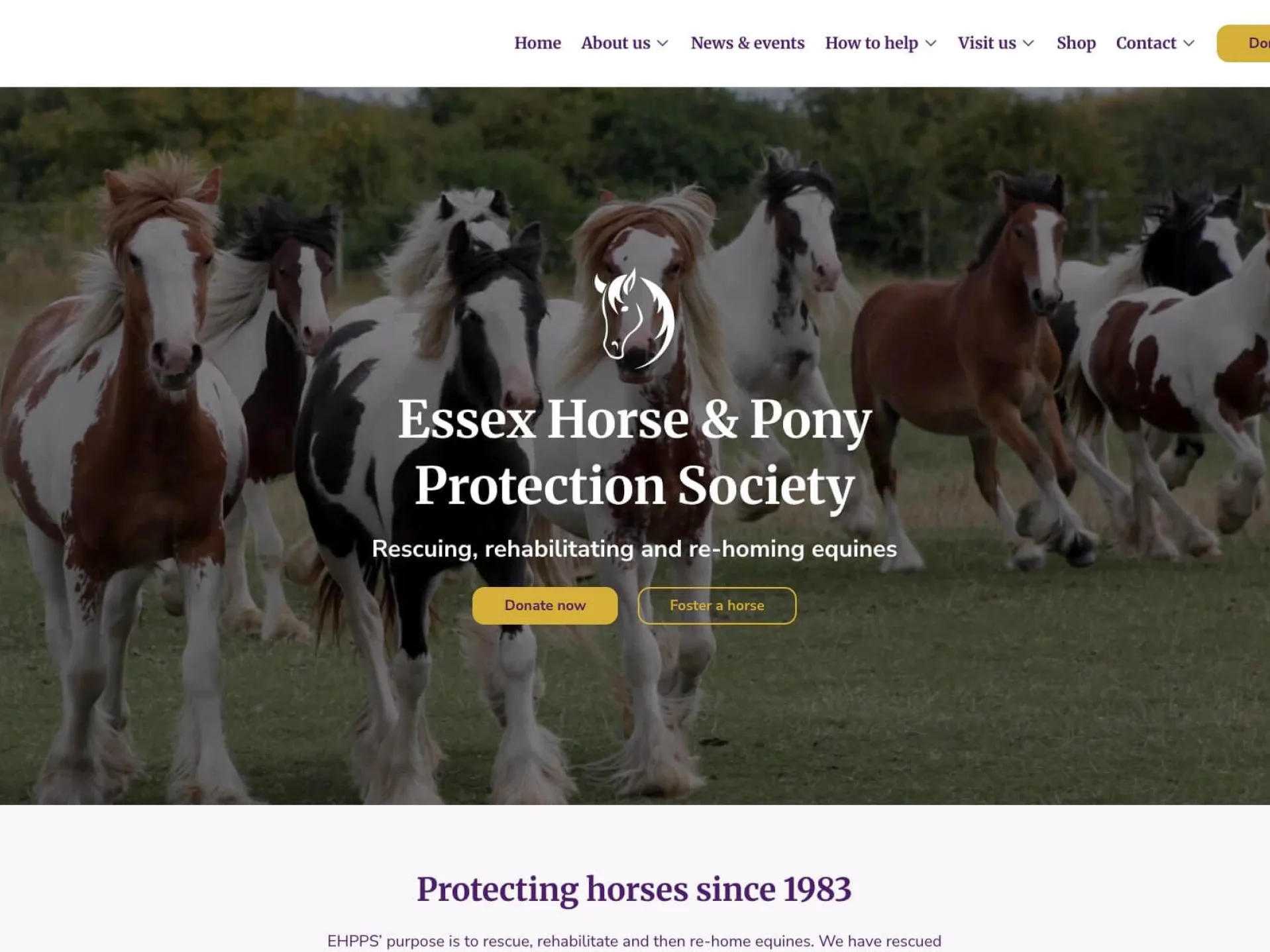 Ehpps new website 1