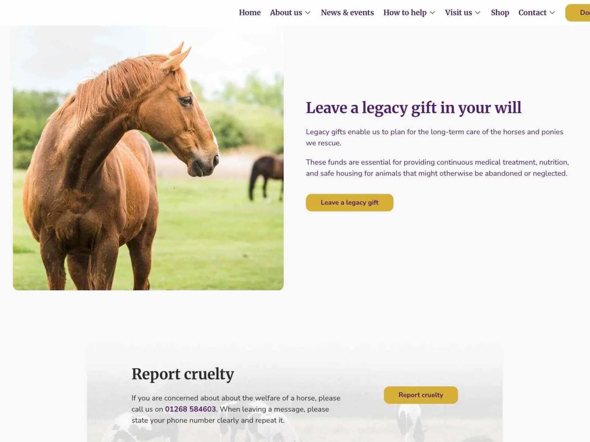 Ehpps new website 2