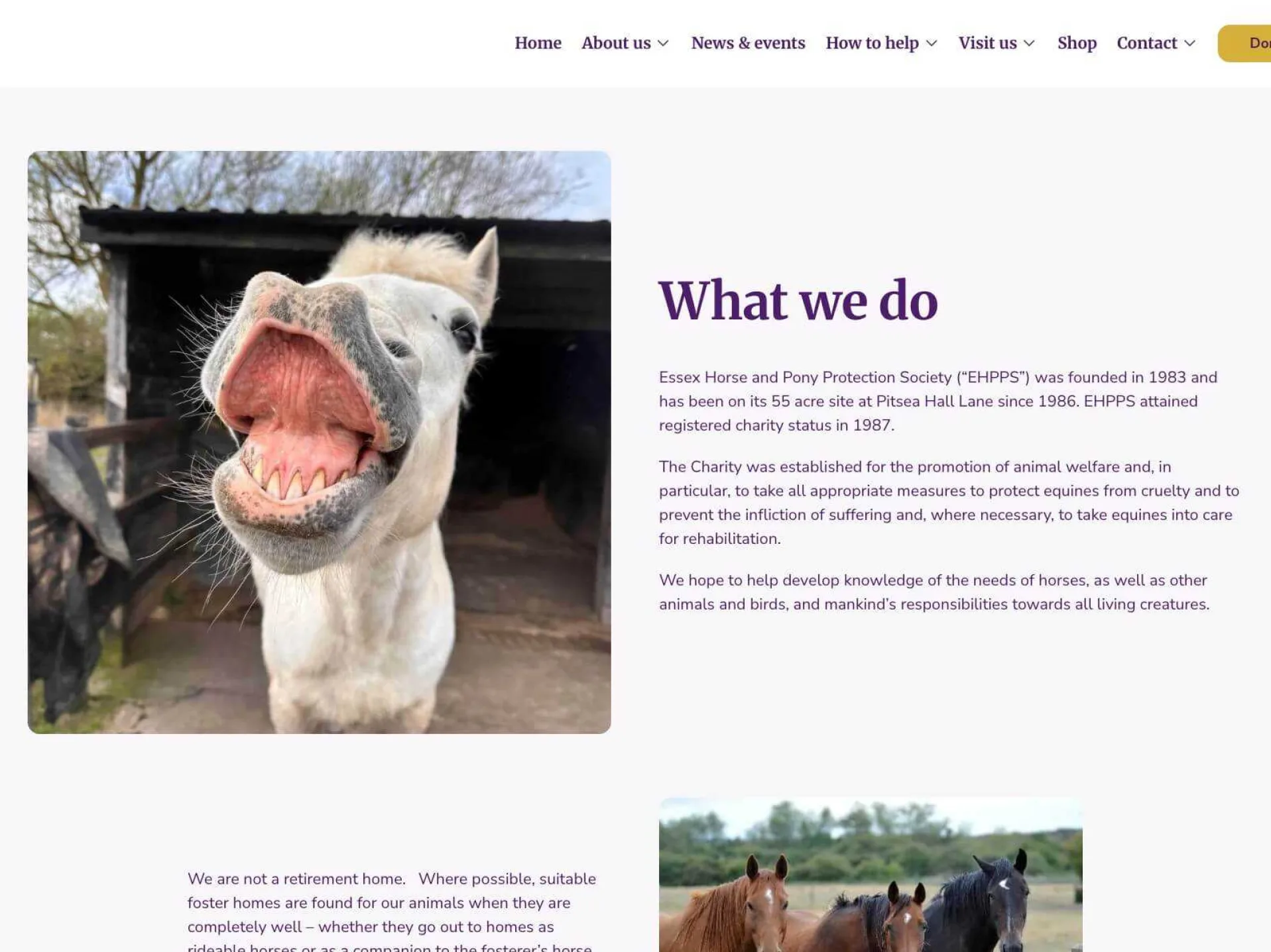 Ehpps new website 3