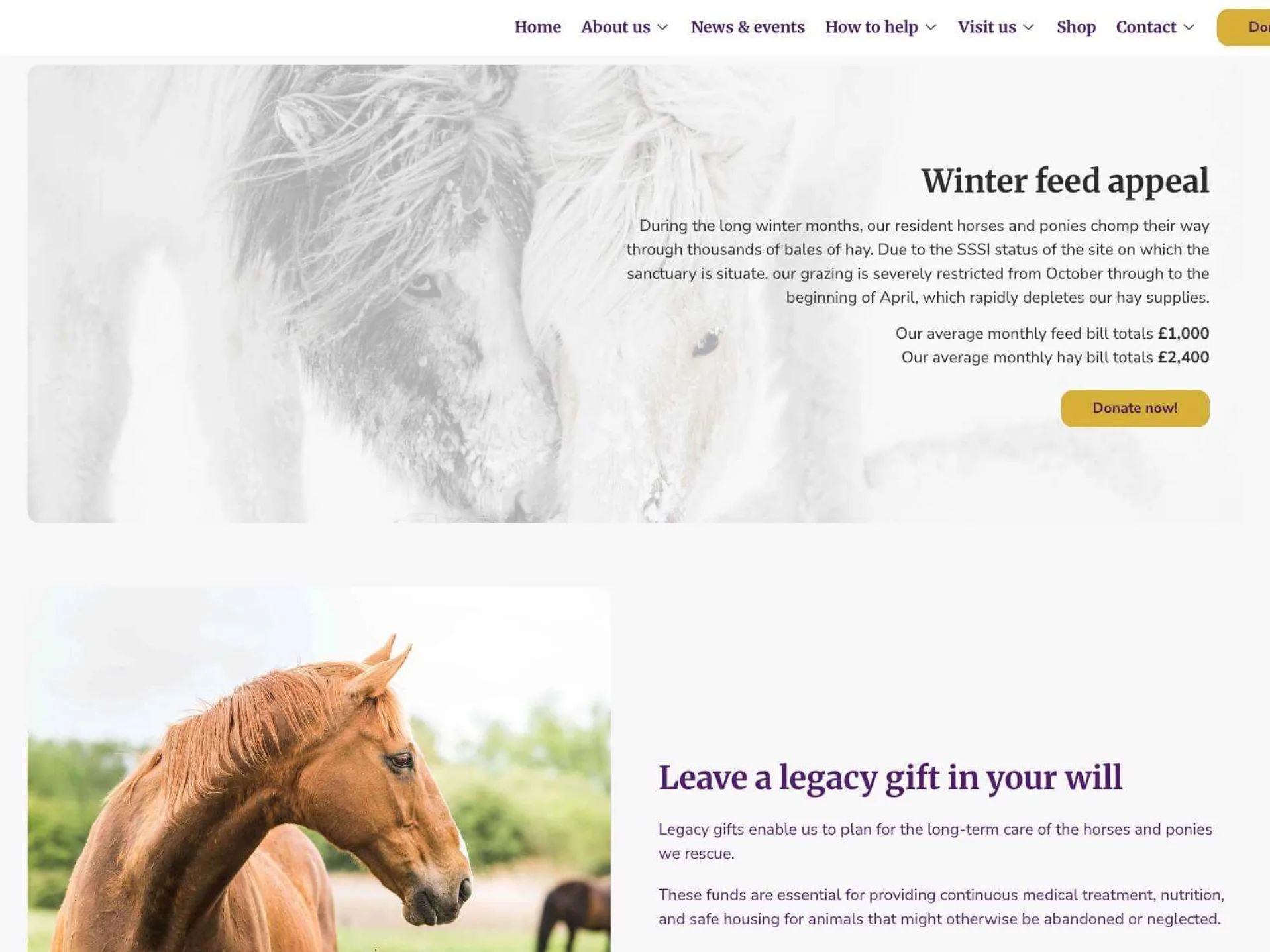 Ehpps new website 6