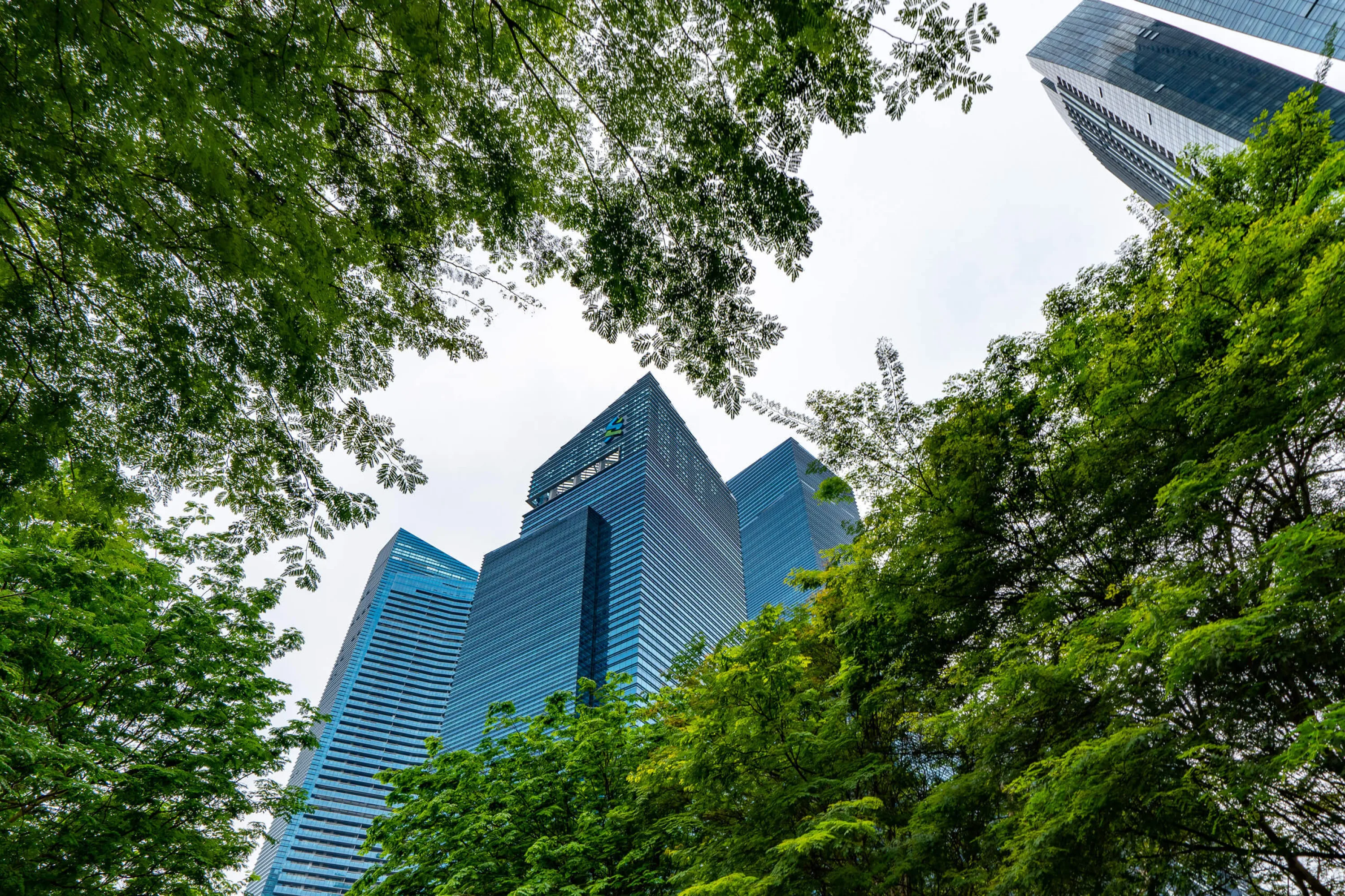City through trees