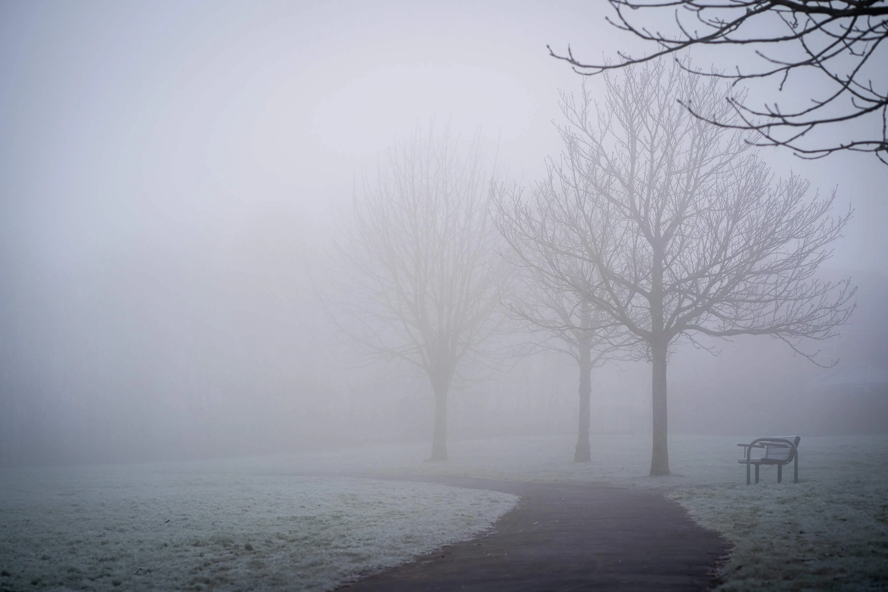 Misty